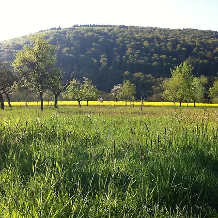 Eifellandhaus Сasa de vacaciones Biersdorf