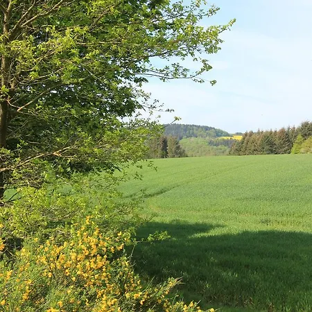 Сasa de vacaciones Eifellandhaus Biersdorf