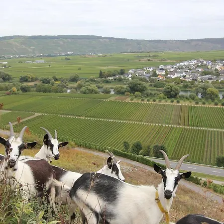Сasa de vacaciones Eifellandhaus Biersdorf